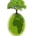 Master Management de l’Environnement