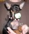 CHIEN DE POCHE CHIHUAHUA TOY - Image 3
