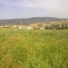 dans une place tres calme