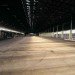 RENT HANGAR ALGIERS