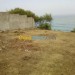 Vente terrain Tipaza Damous