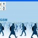 Logiciel Flexy (Total GSM) 2013