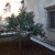 Vends ensemble Duplex / 2 appartements - Image 1