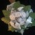 location robe blanche - Image 2
