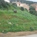 terrain sidi aich