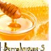 VENTE EN GROS DE MIEL DU ROMARIN FILTRE