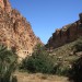 Vente Terrain Biskra el Kantara