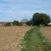 Vente Terrain – Alger – à Bordj el Kiffan