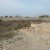 terrains Urbanisé Vu sur mer Fouka - Image 3