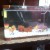 Aquarium - Image 1