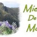 miel de montagne