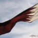 Visa de travail a Qatar