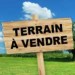 terrain