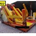 manege gonflable