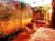 location villa le golf - Image 1