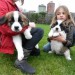 Adorables et petits bébés saint bernard