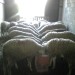 des mouton  avendre