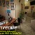 Formation: VIDEOGRAPHISTE - Image 2