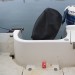 BATEAU