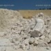PROPOSITION POUR INVESTISSEMENT DANS LE NORD D’ALGERIE