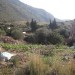 terrain dar naceur coté msid el-bab