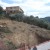 carcasse tala markha - Image 2 carcasse tala markha - Image 2