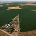 vends 3 pivot d’irrigation de 30 hectares chacun