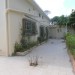LOCATION IMMEUBLE BIRMANDREIS
