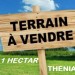 vend terrain boumerdes thenia