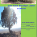 Guide illustré de quelques  plantes steppiques