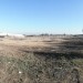 Location terrain 1 hectar Koléa