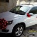 Location de Tiguans neufs  pour cortège de mariage et autres  avec chauffeurs  à Alger et environs