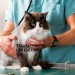 veterinaire specialiste belcourt